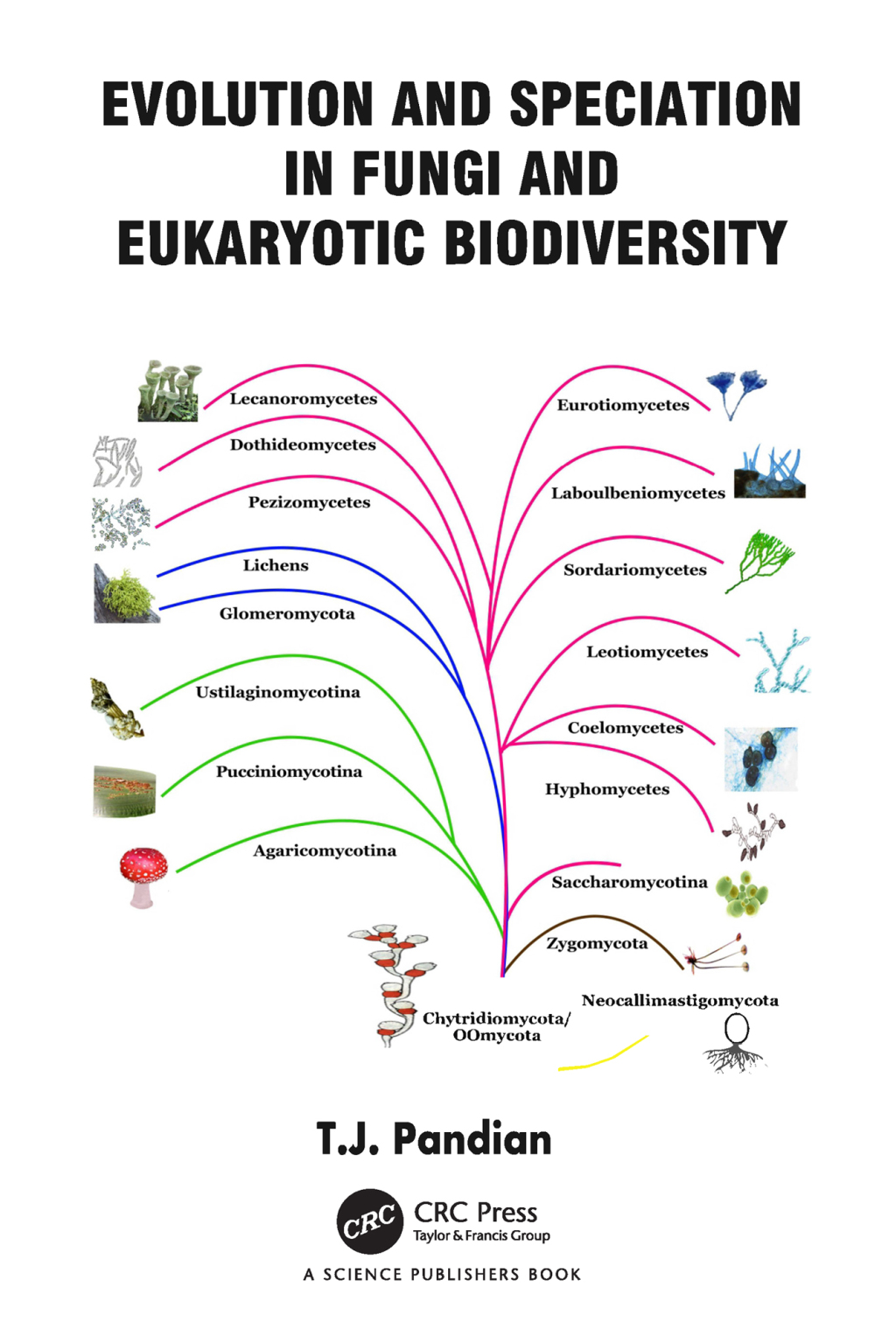 Evolution and Speciation in Fungi and Eukaryotic Biodiversity 1st Edition