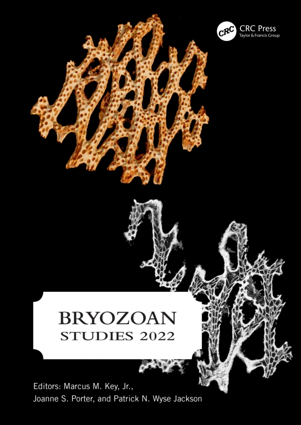 Bryozoan Studies 2022 PROCEEDINGS OF THE NINETEENTH INTERNATIONAL BRYOZOOLOGY ASSOCIATION CONFERENCE (DUBLIN, IRELAND, 22-26 AUGUST 2022) 1st Edition