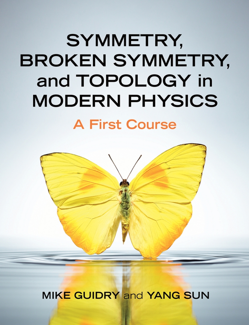 Symmetry, Broken Symmetry, and Topology in Modern Physics A First Course 