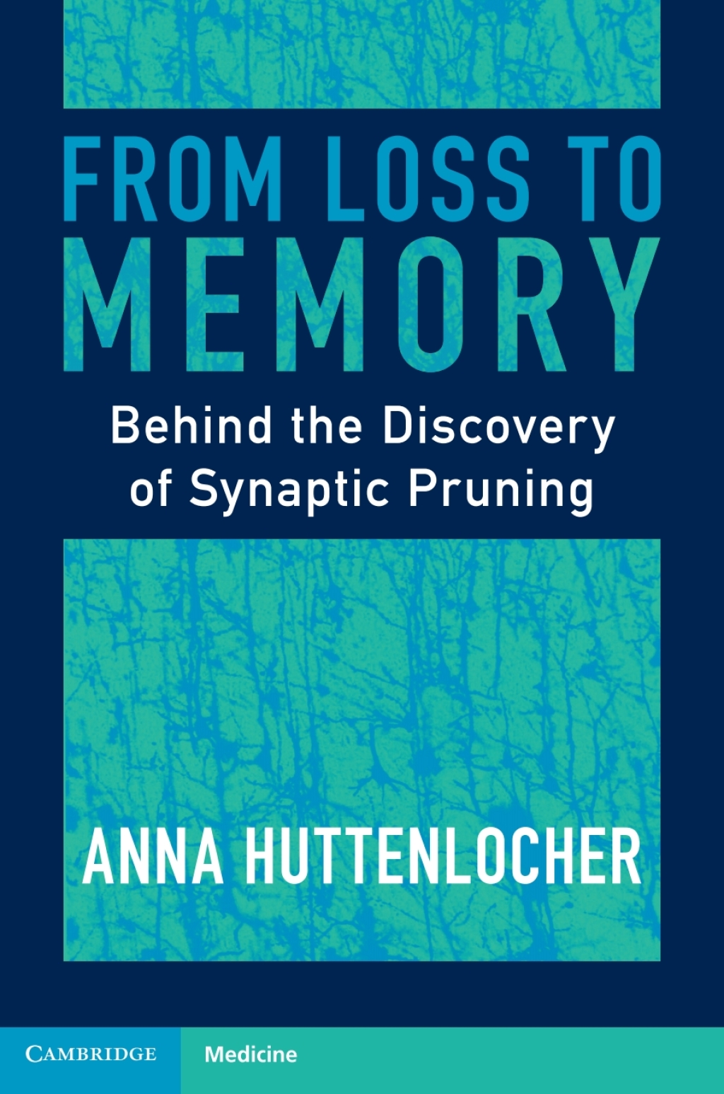 From Loss to Memory Behind the Discovery of Synaptic Pruning 