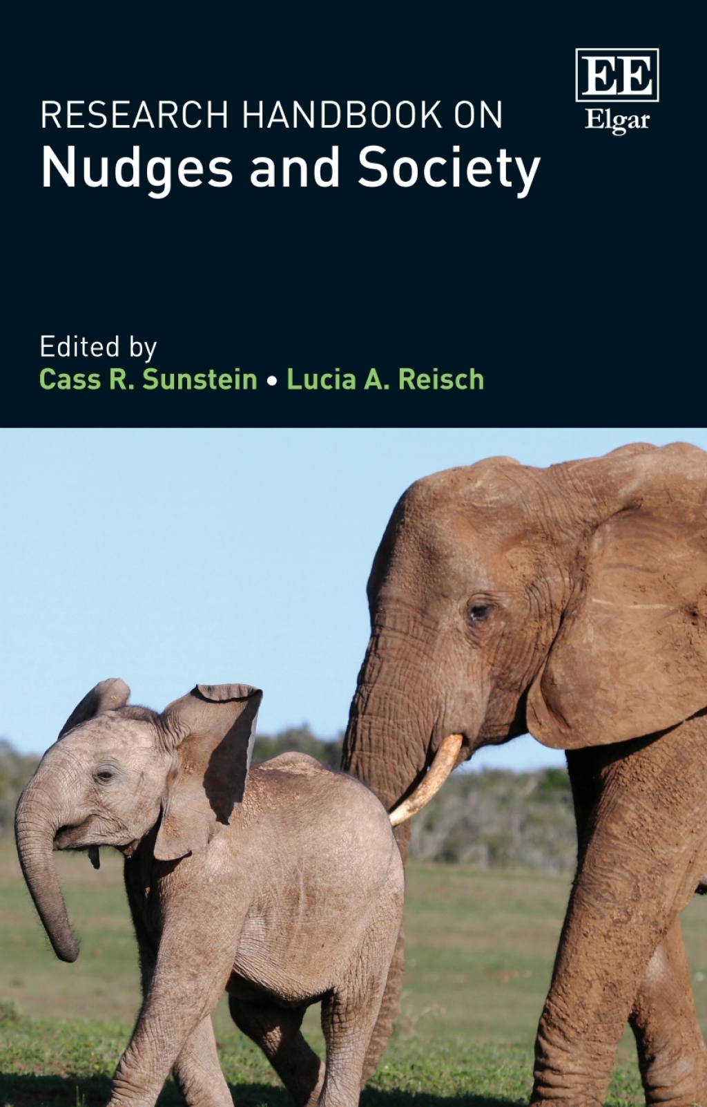 Research Handbook on Nudges and Society 1st Edition