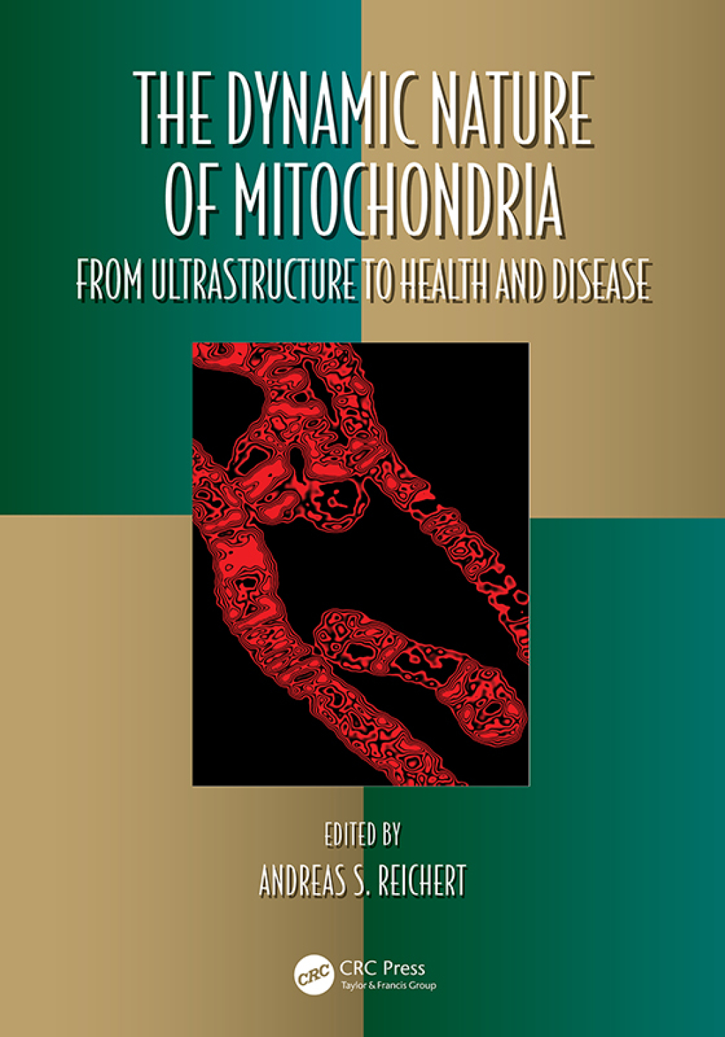 The Dynamic Nature of Mitochondria from Ultrastructure to Health and Disease 1st Edition