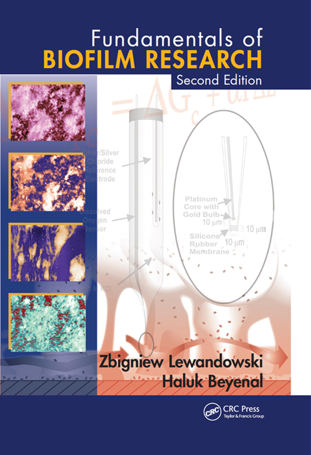 Fundamentals of Biofilm Research 2nd Edition