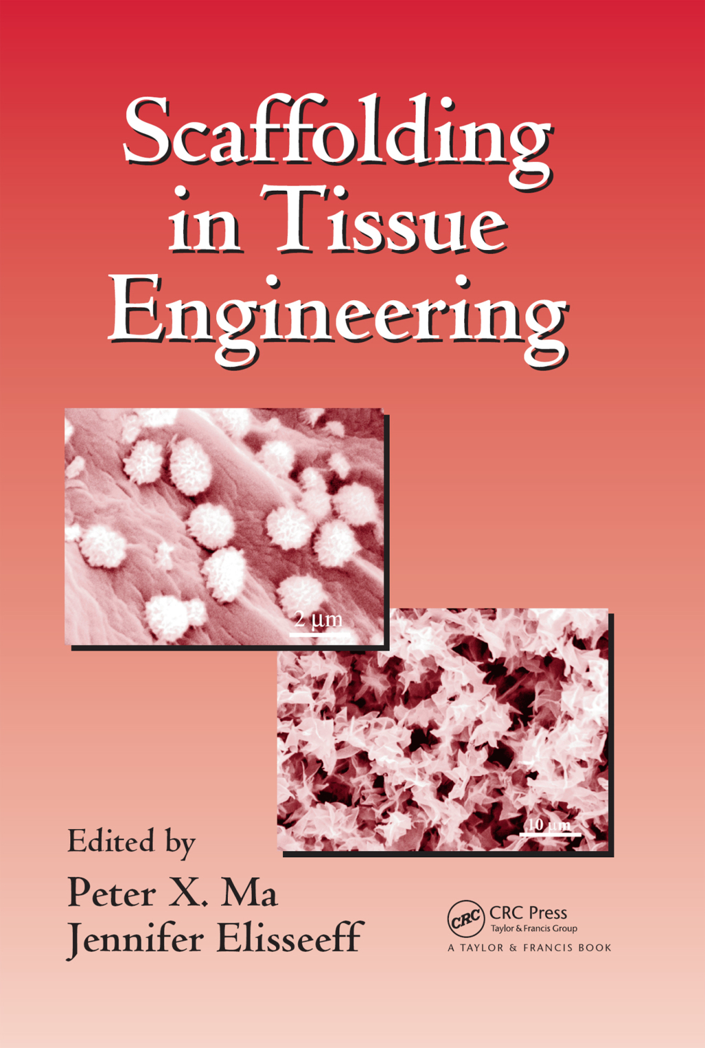 Scaffolding In Tissue Engineering 1st Edition