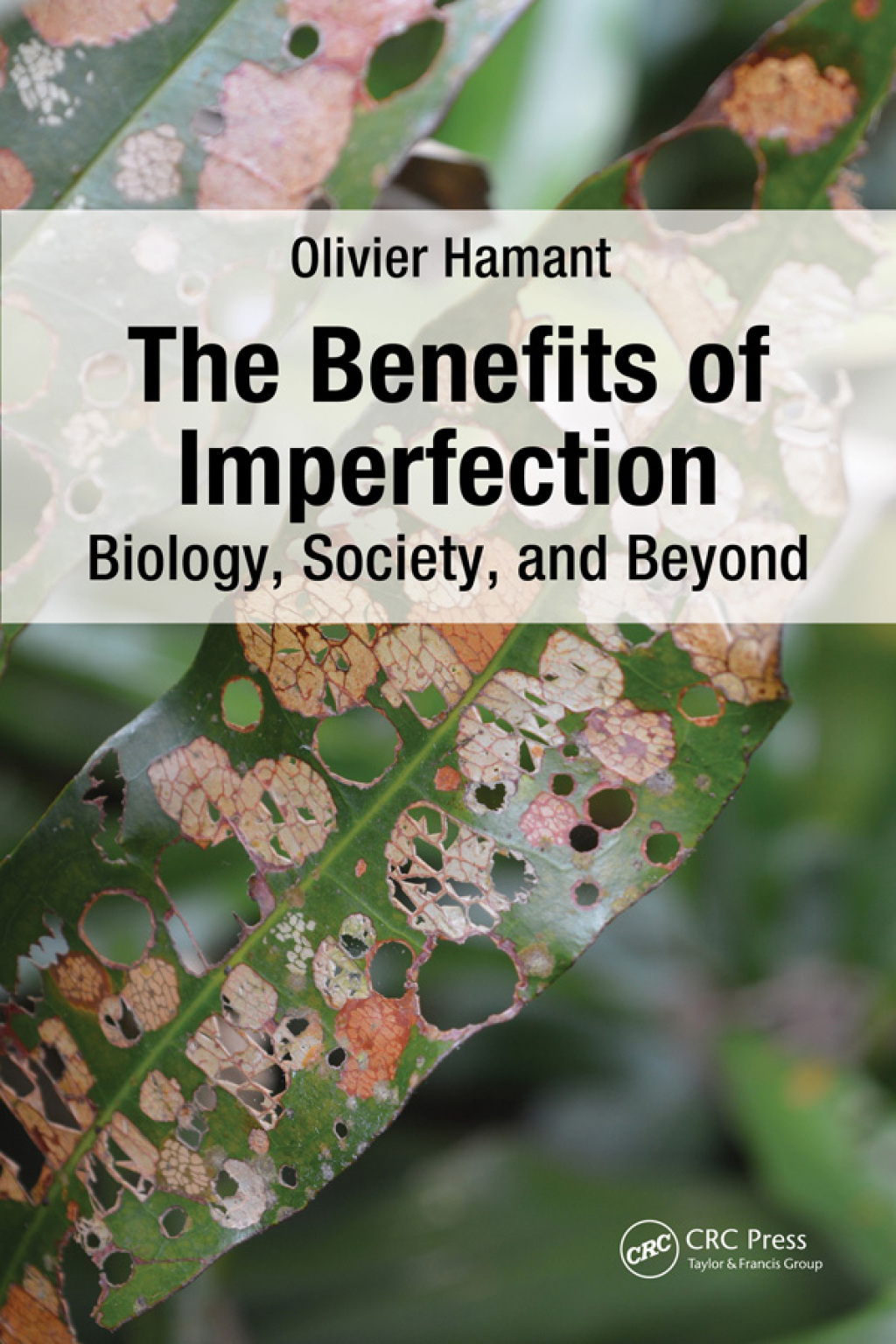 The Benefits of Imperfection Biology, Society, and Beyond 1st Edition
