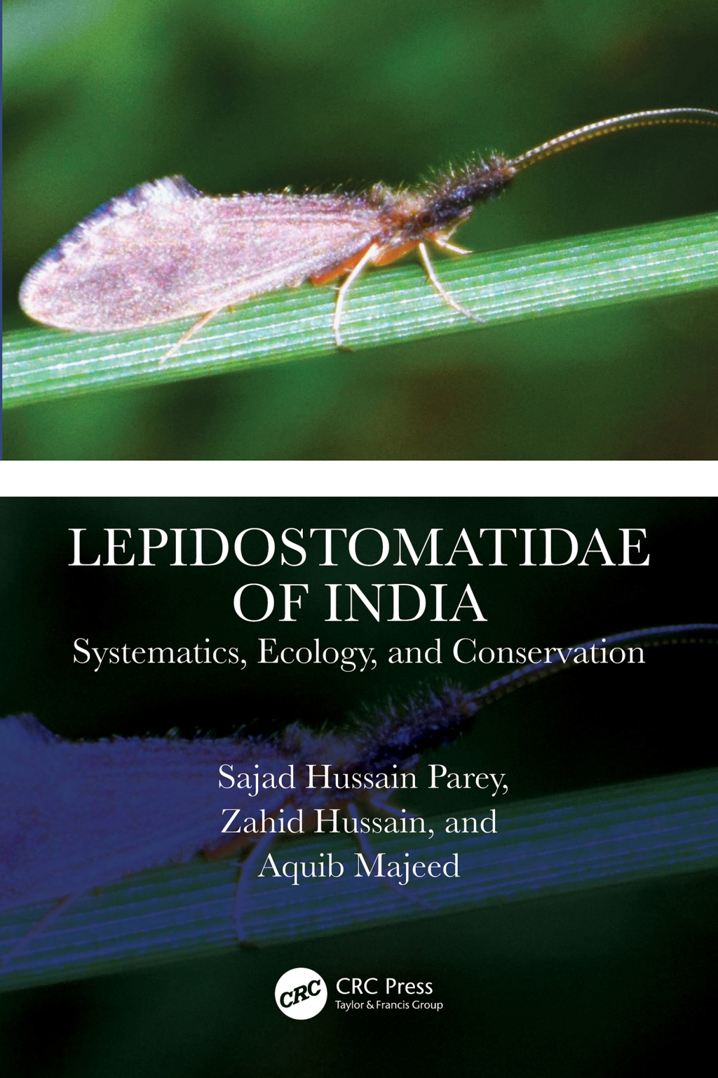 Lepidostomatidae of India Systematics, Ecology, and Conservation 1st Edition