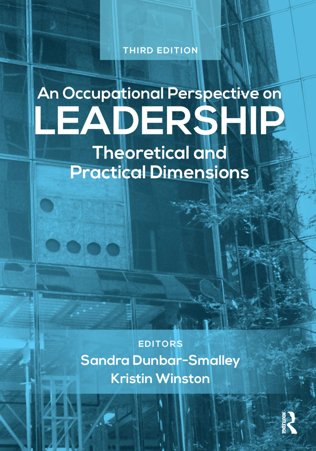 An Occupational Perspective on Leadership Theoretical and Practical Dimensions 3rd Edition