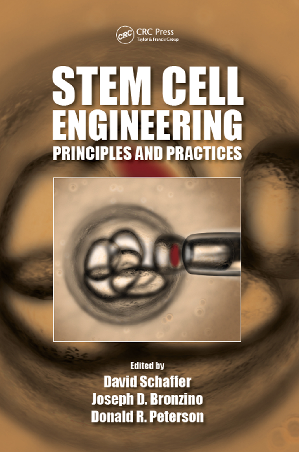 Stem Cell Engineering Principles and Practices 1st Edition