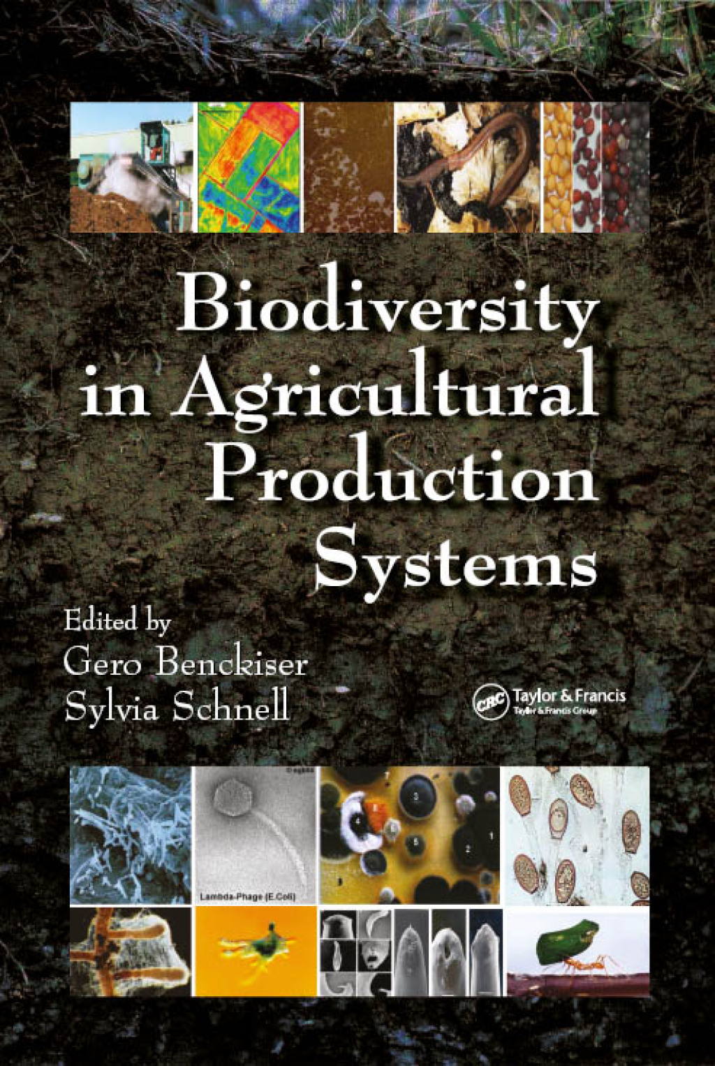 Biodiversity In Agricultural Production Systems 1st Edition