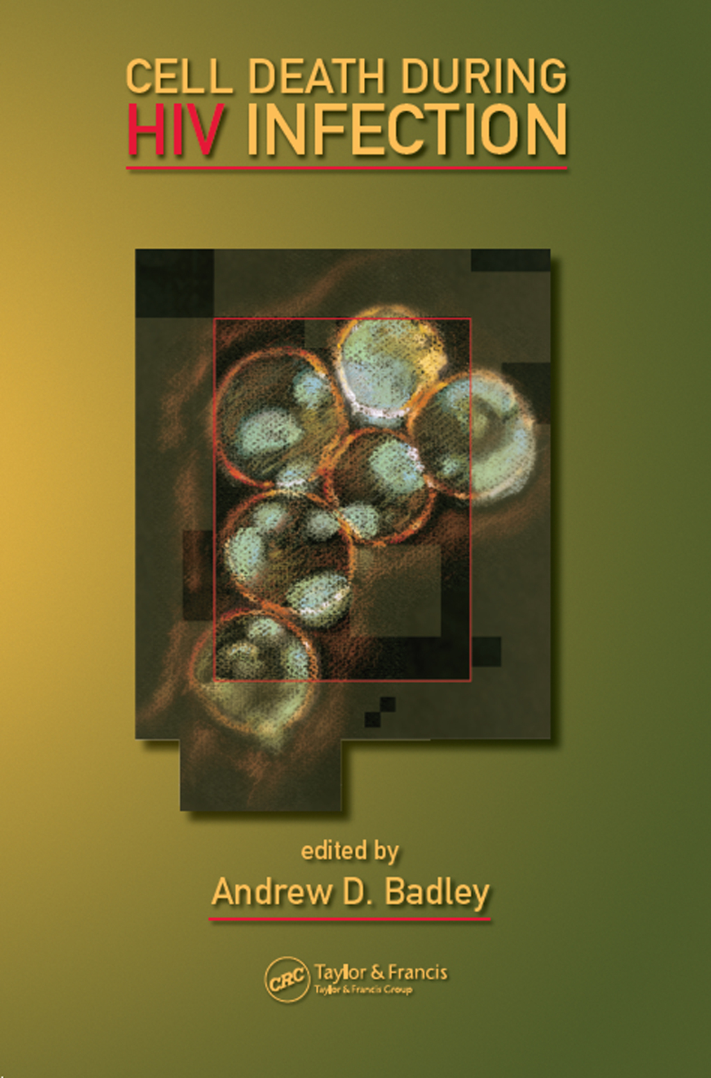 Cell Death During HIV Infection 1st Edition