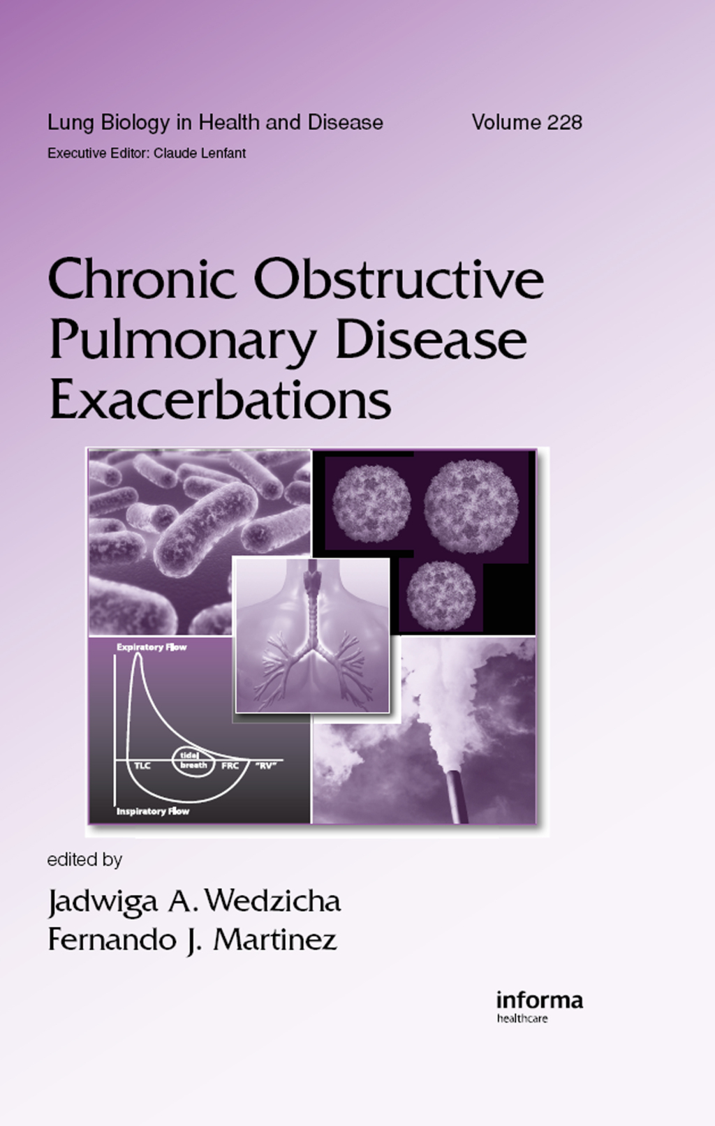 Chronic Obstructive Pulmonary Disease Exacerbations 1st Edition