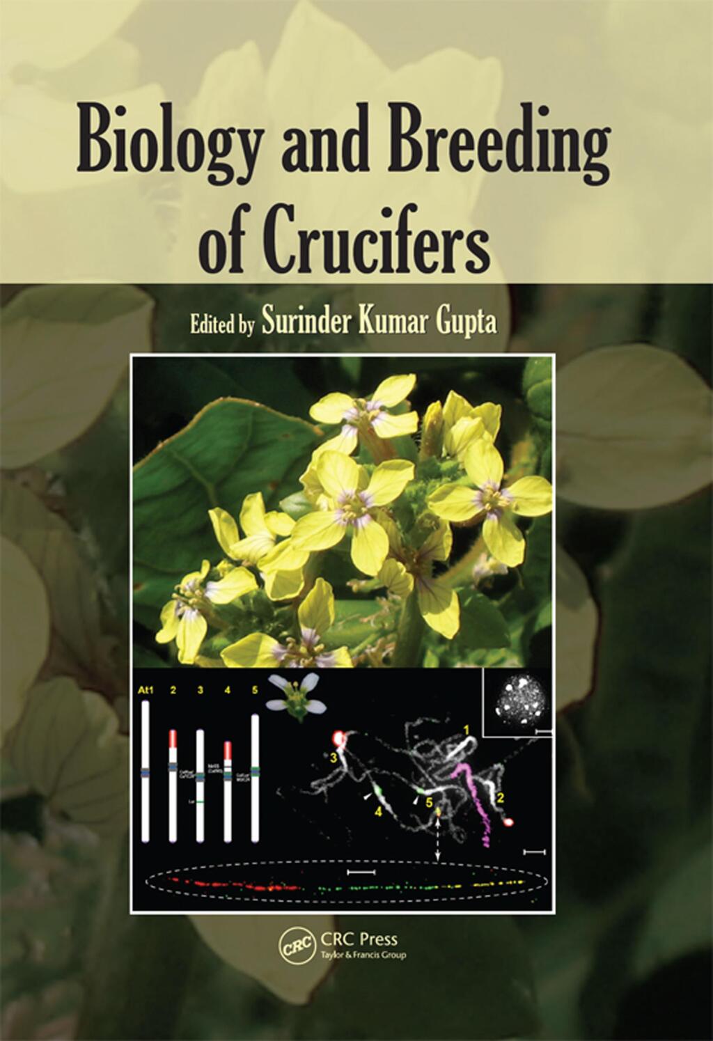 Biology and Breeding of Crucifers 1st Edition