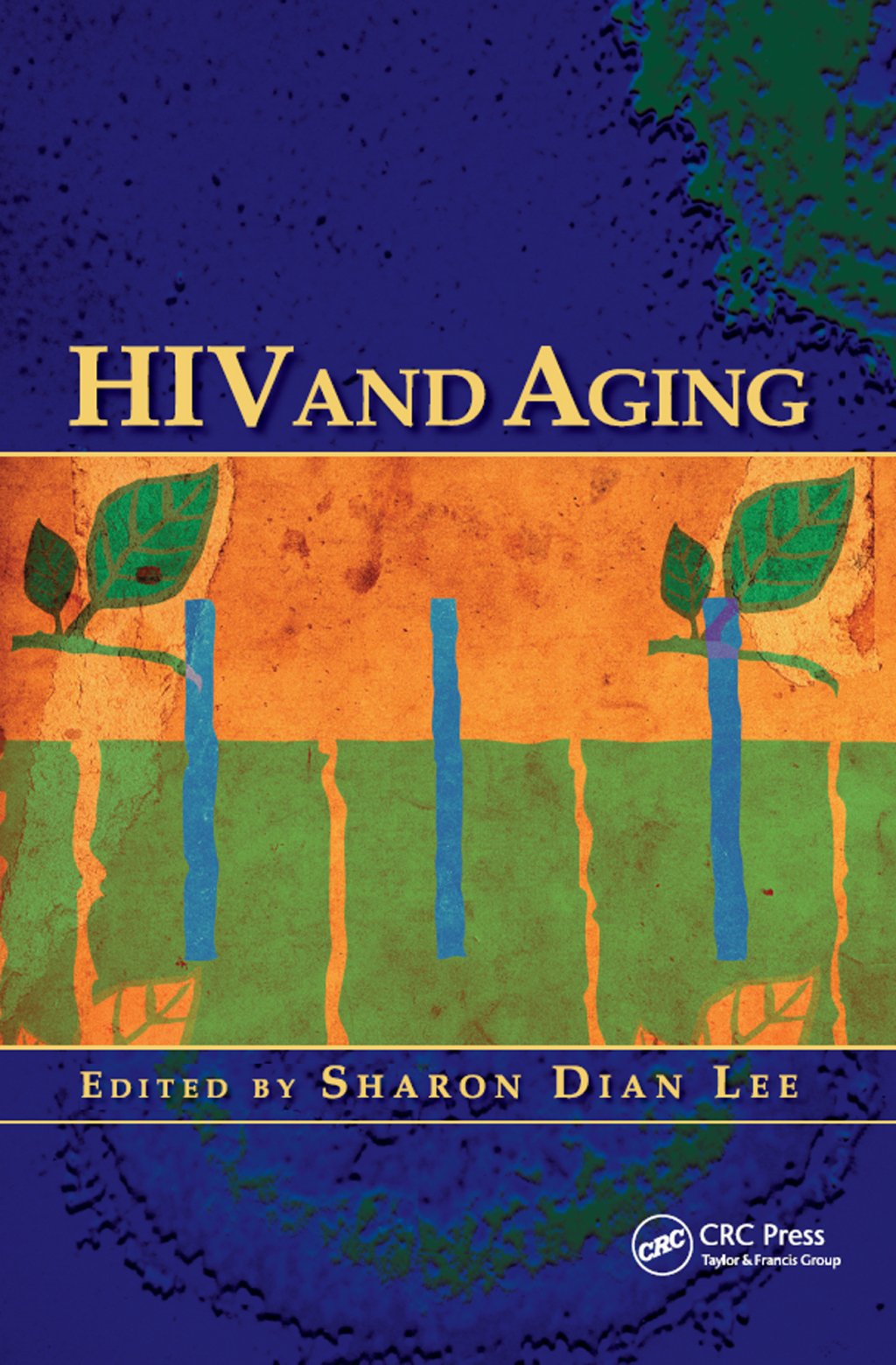 HIV and Aging 1st Edition