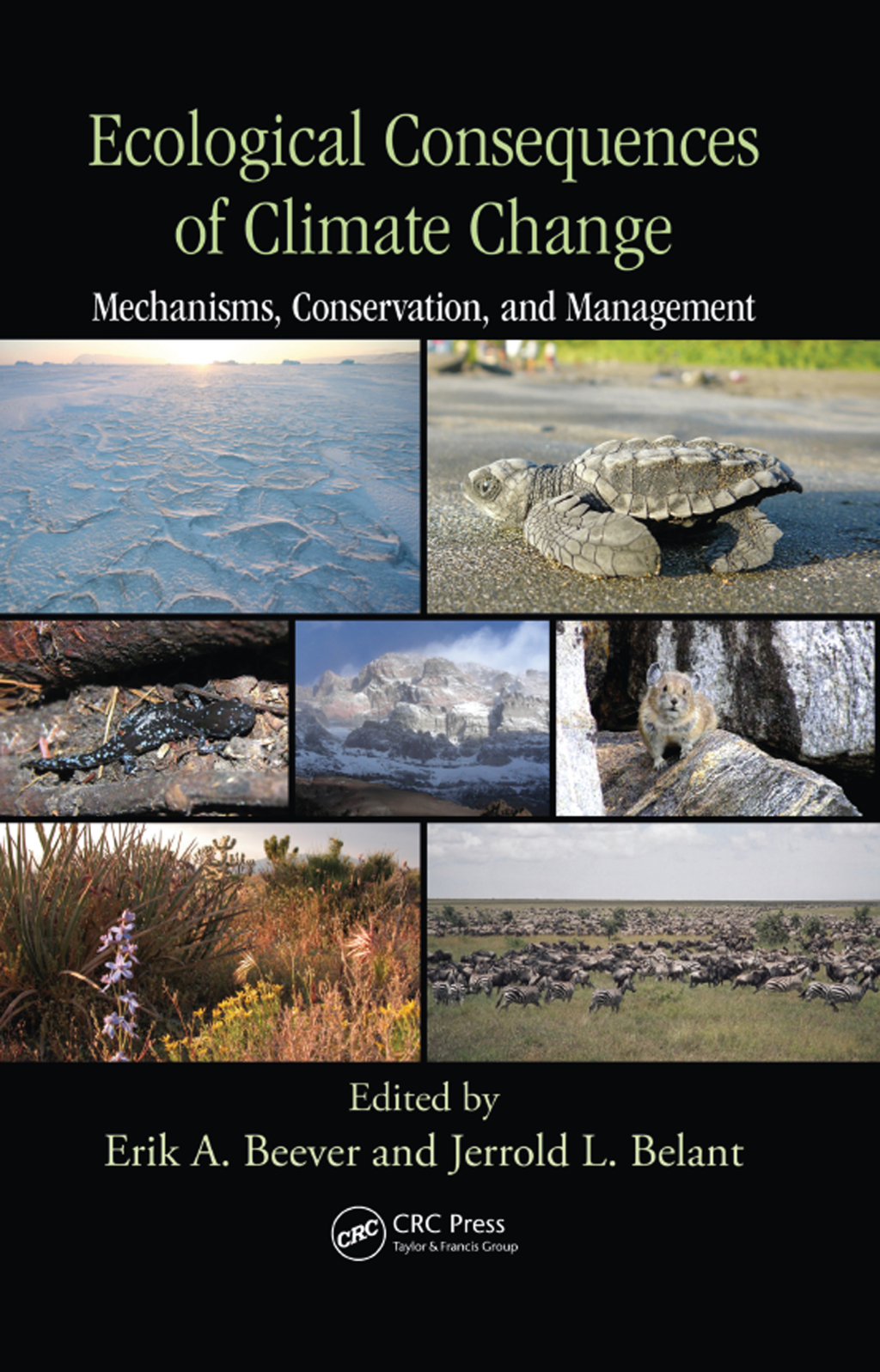 Ecological Consequences of Climate Change Mechanisms, Conservation, and Management 1st Edition