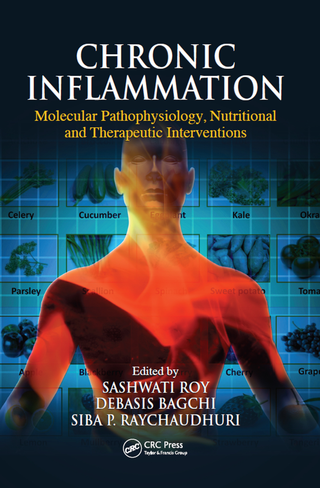 Chronic Inflammation Molecular Pathophysiology, Nutritional and Therapeutic Interventions 1st Edition