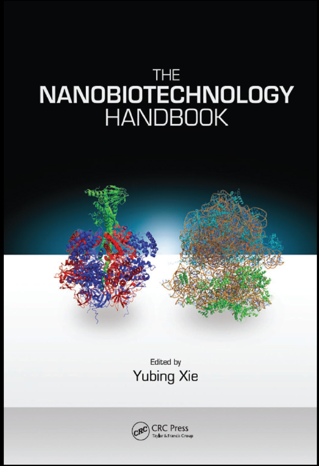 The Nanobiotechnology Handbook 1st Edition