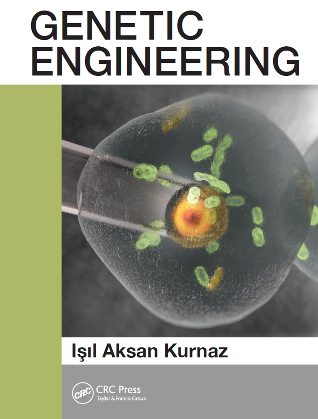Techniques in Genetic Engineering 1st Edition