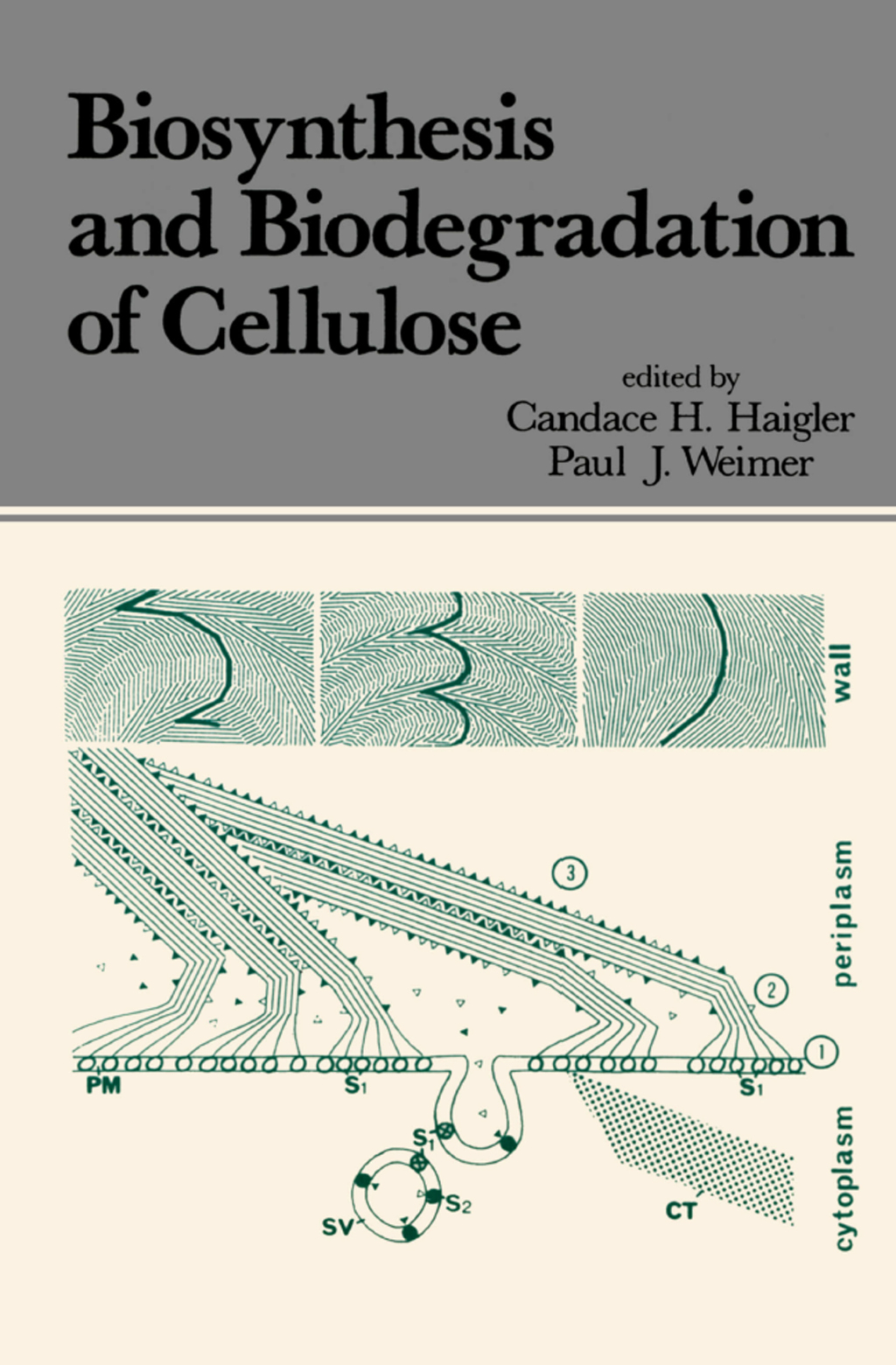 Biosynthesis and Biodegradation of Cellulose 1st Edition