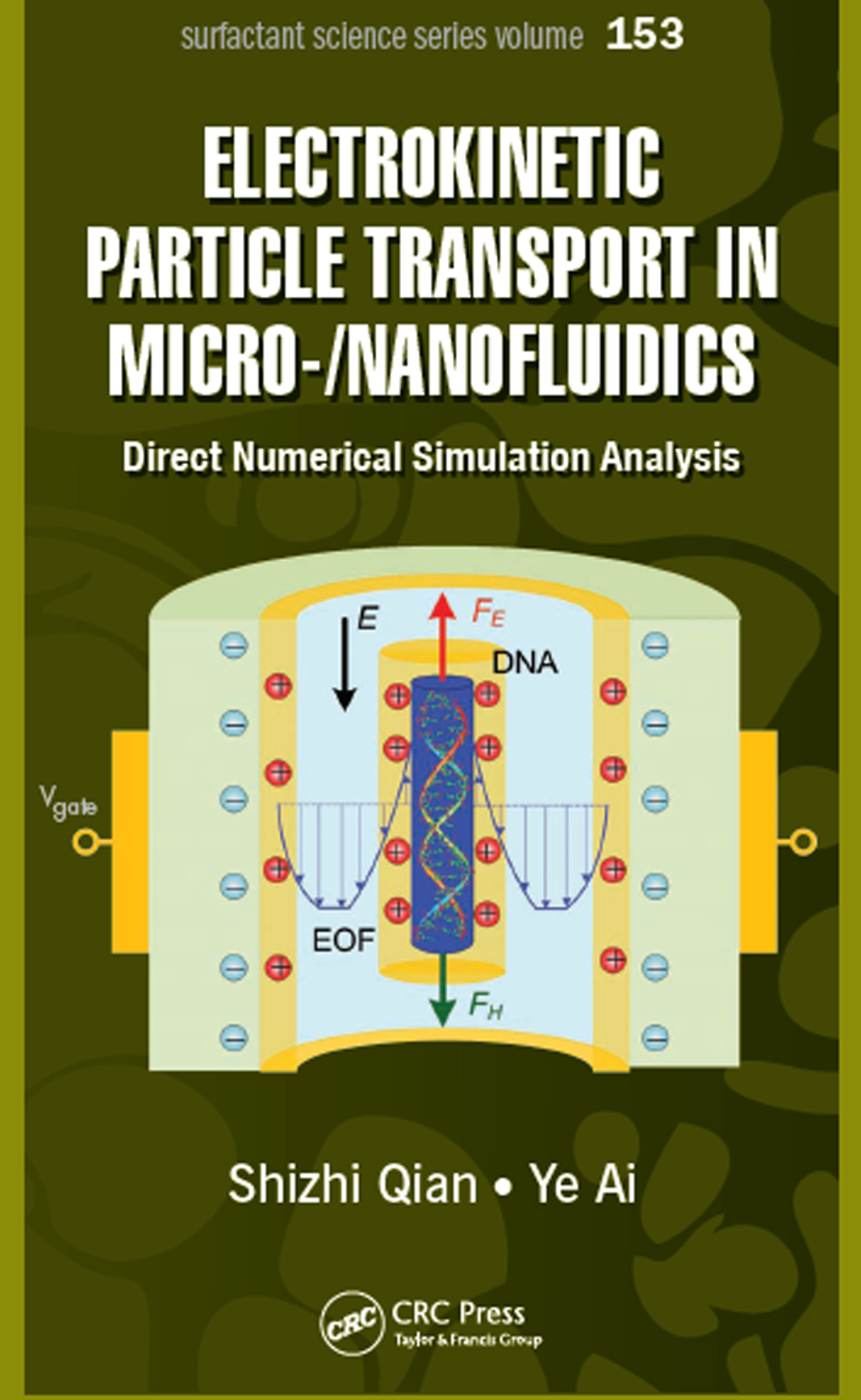 Electrokinetic Particle Transport in Micro-/Nanofluidics Direct Numerical Simulation Analysis 1st Edition