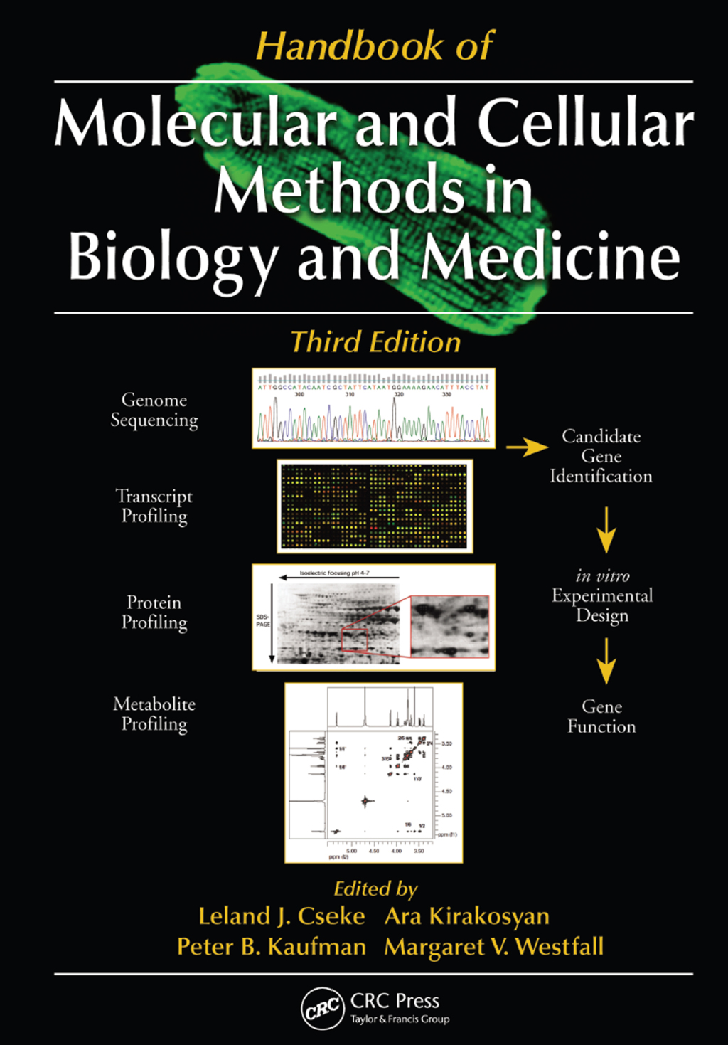 Handbook of Molecular and Cellular Methods in Biology and Medicine 3rd Edition