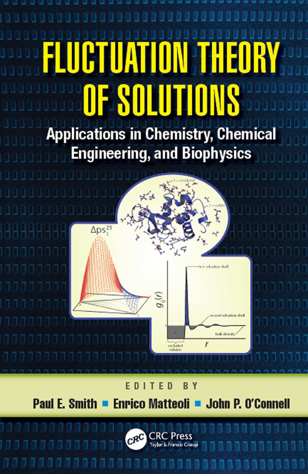Fluctuation Theory of Solutions Applications in Chemistry, Chemical Engineering, and Biophysics 1st Edition