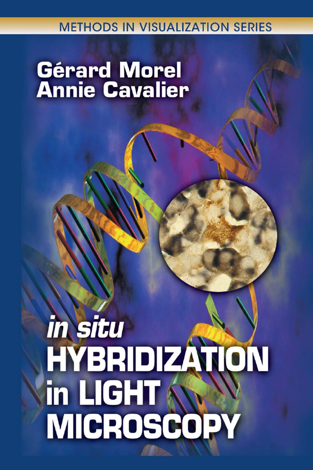 In Situ Hybridization in Light Microscopy 1st Edition