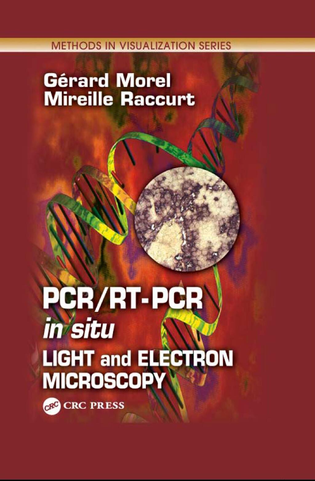 PCR/RT- PCR in situ Light and Electron Microscopy 1st Edition