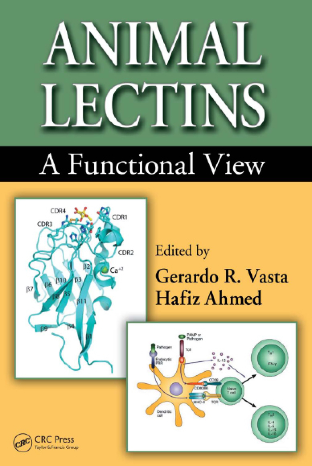 Animal Lectins A Functional View 1st Edition
