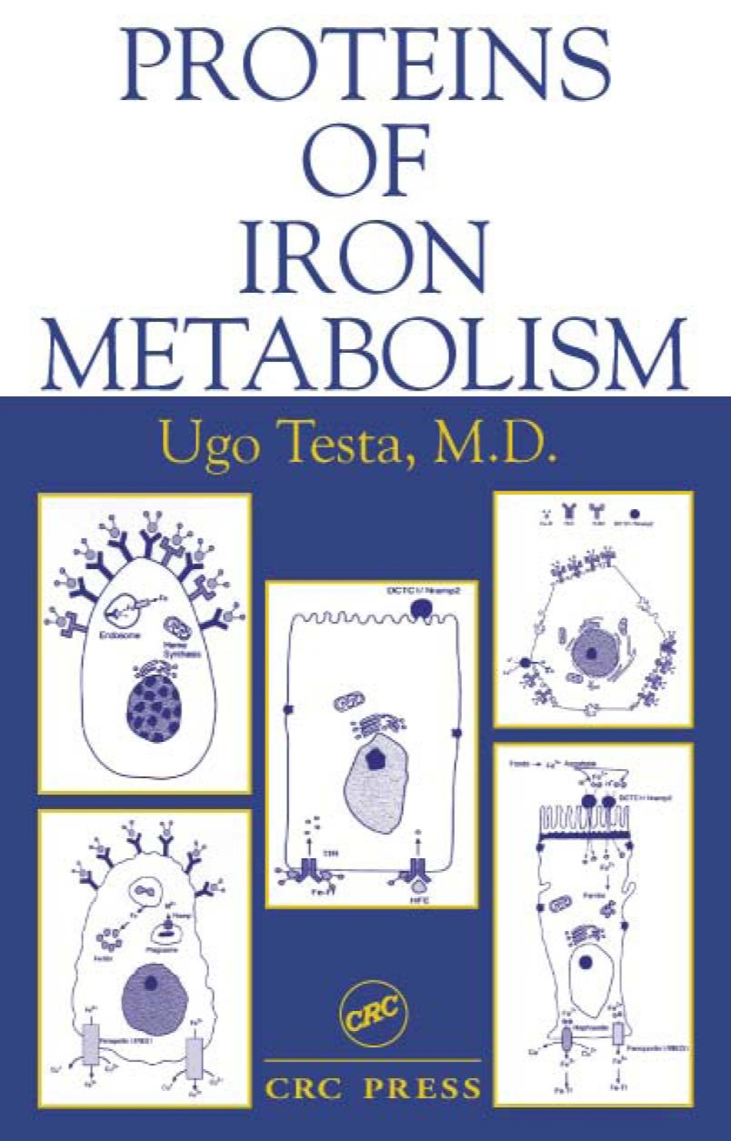 Proteins of Iron Metabolism 1st Edition