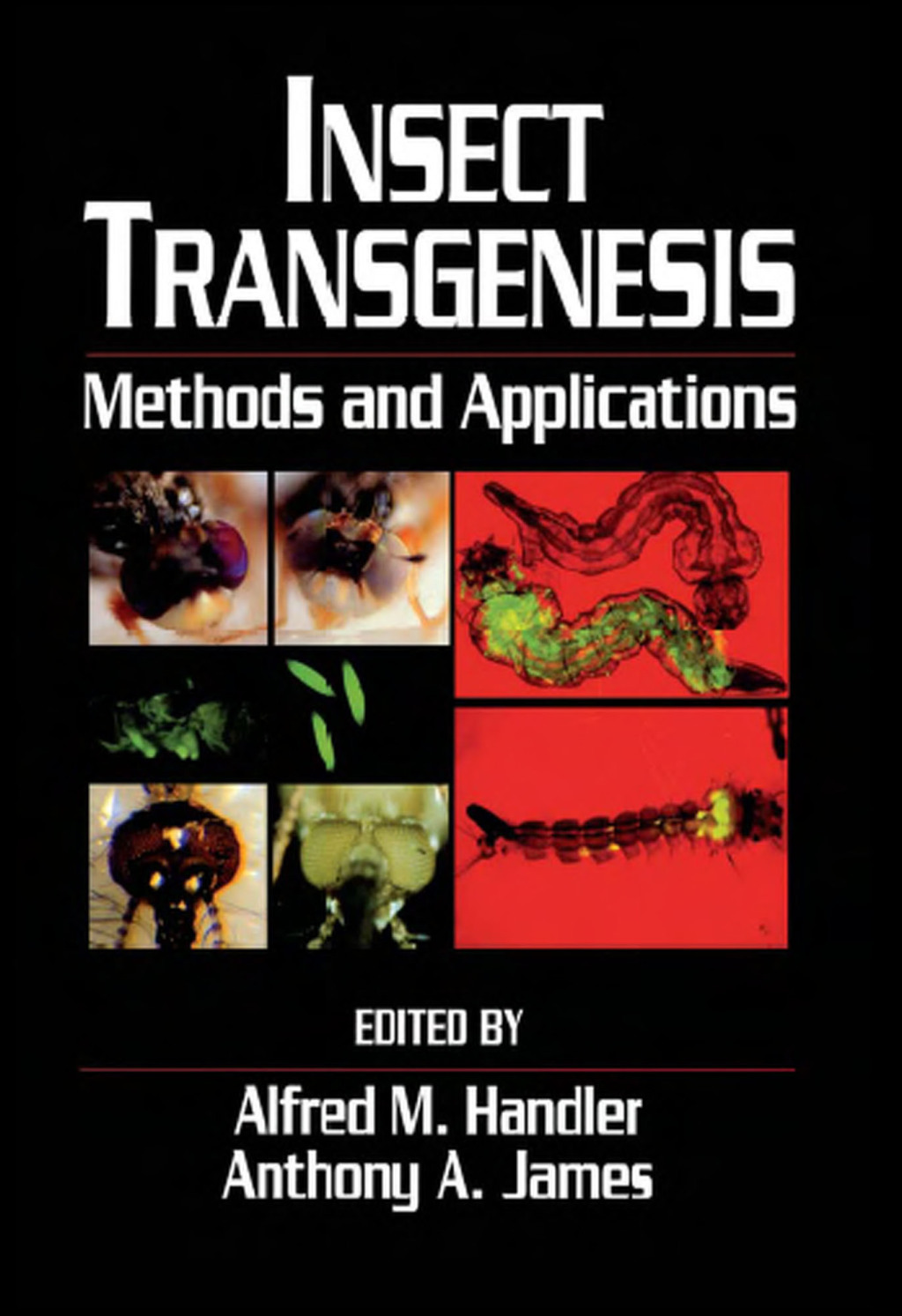 Insect Transgenesis Methods and Applications 1st Edition