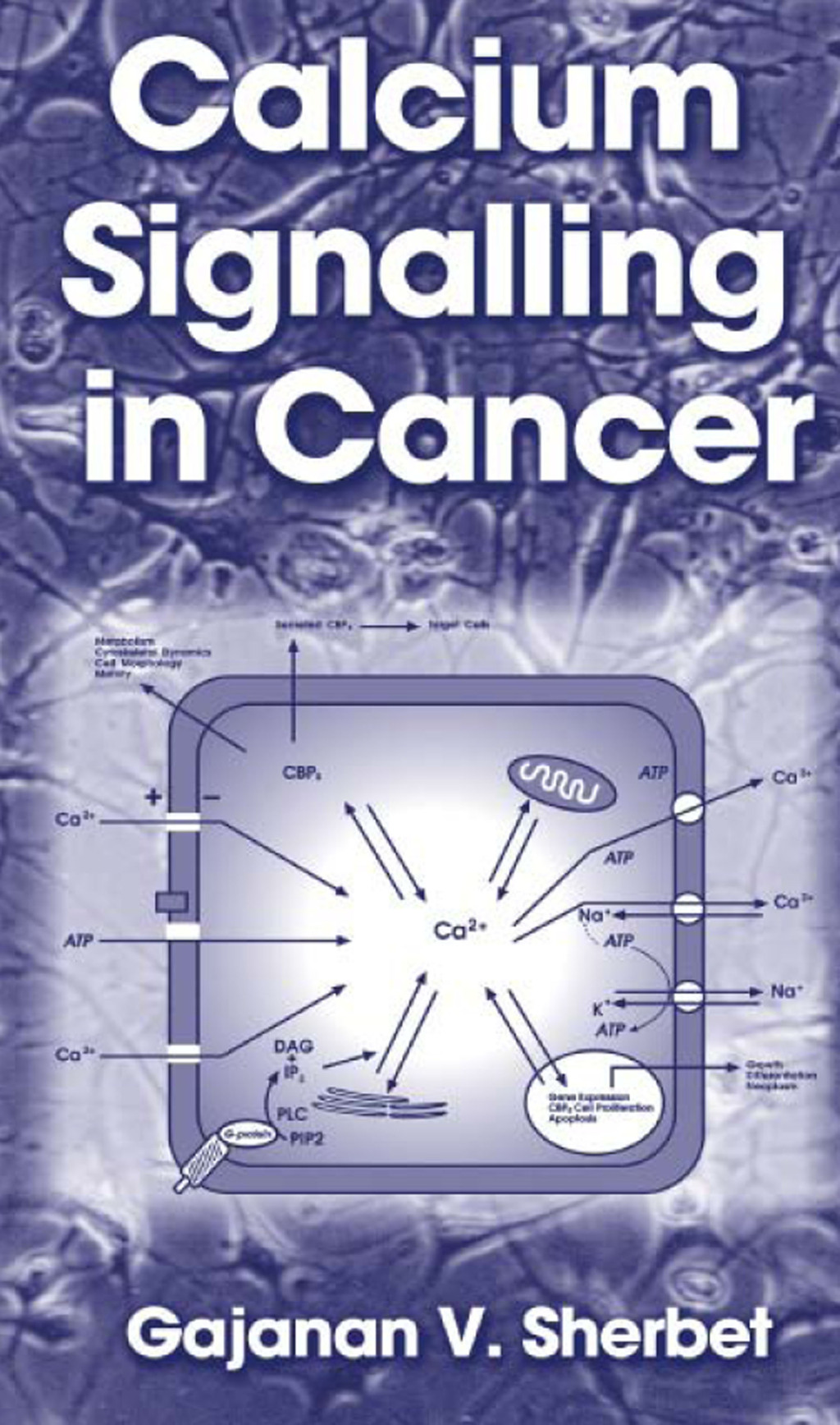 Calcium Signalling in Cancer 1st Edition
