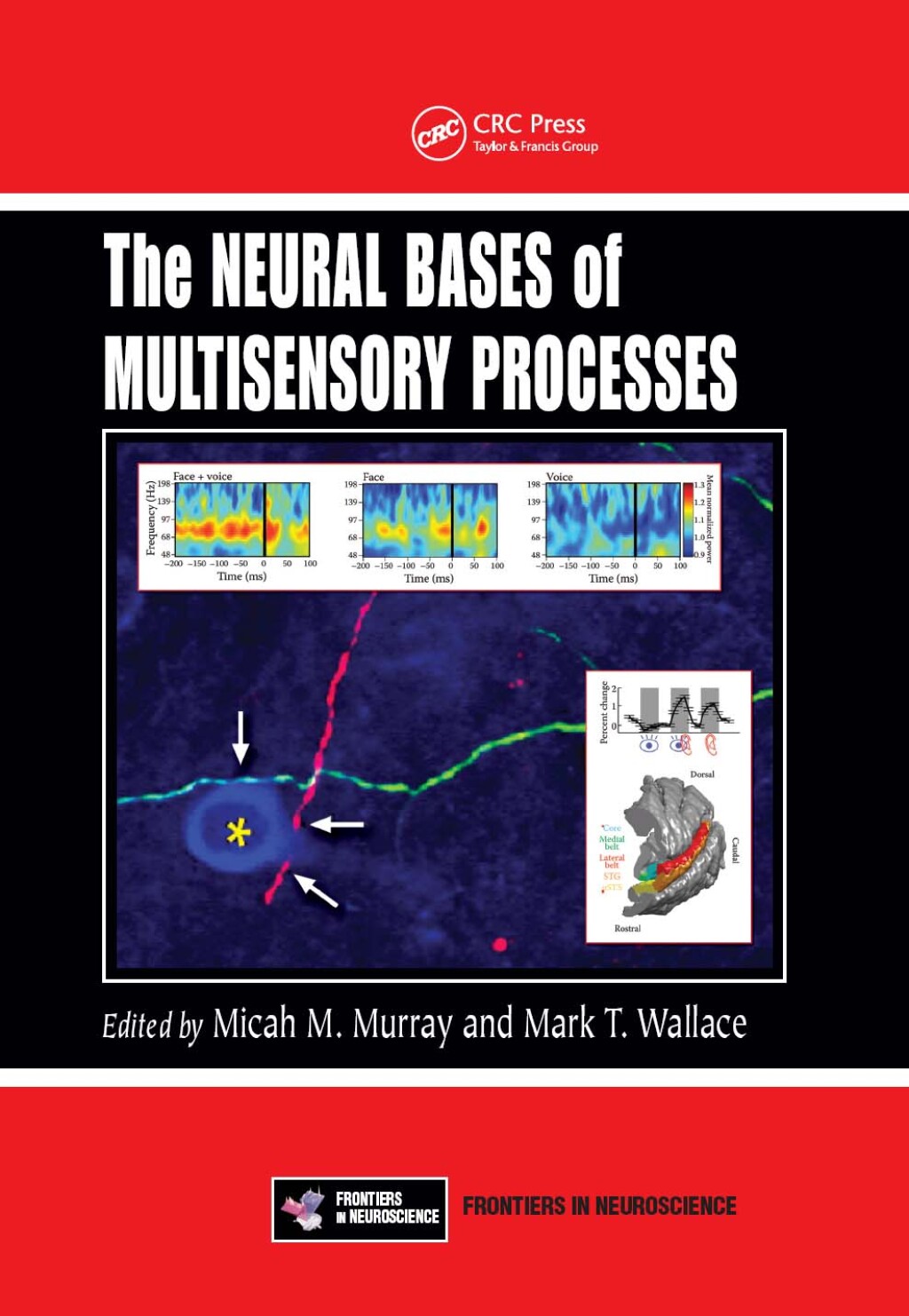 The Neural Bases of Multisensory Processes 1st Edition