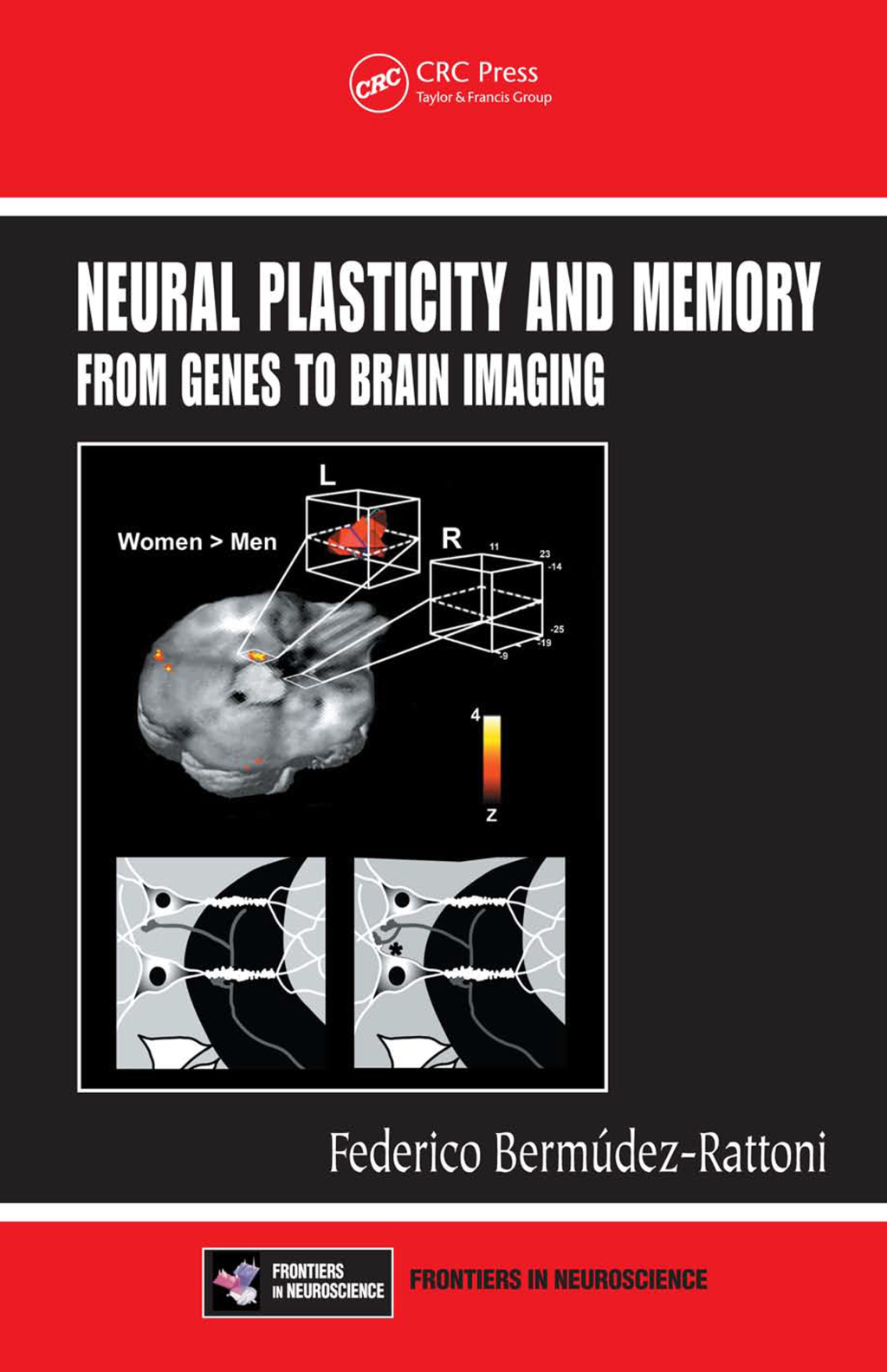 Neural Plasticity and Memory From Genes to Brain Imaging 1st Edition