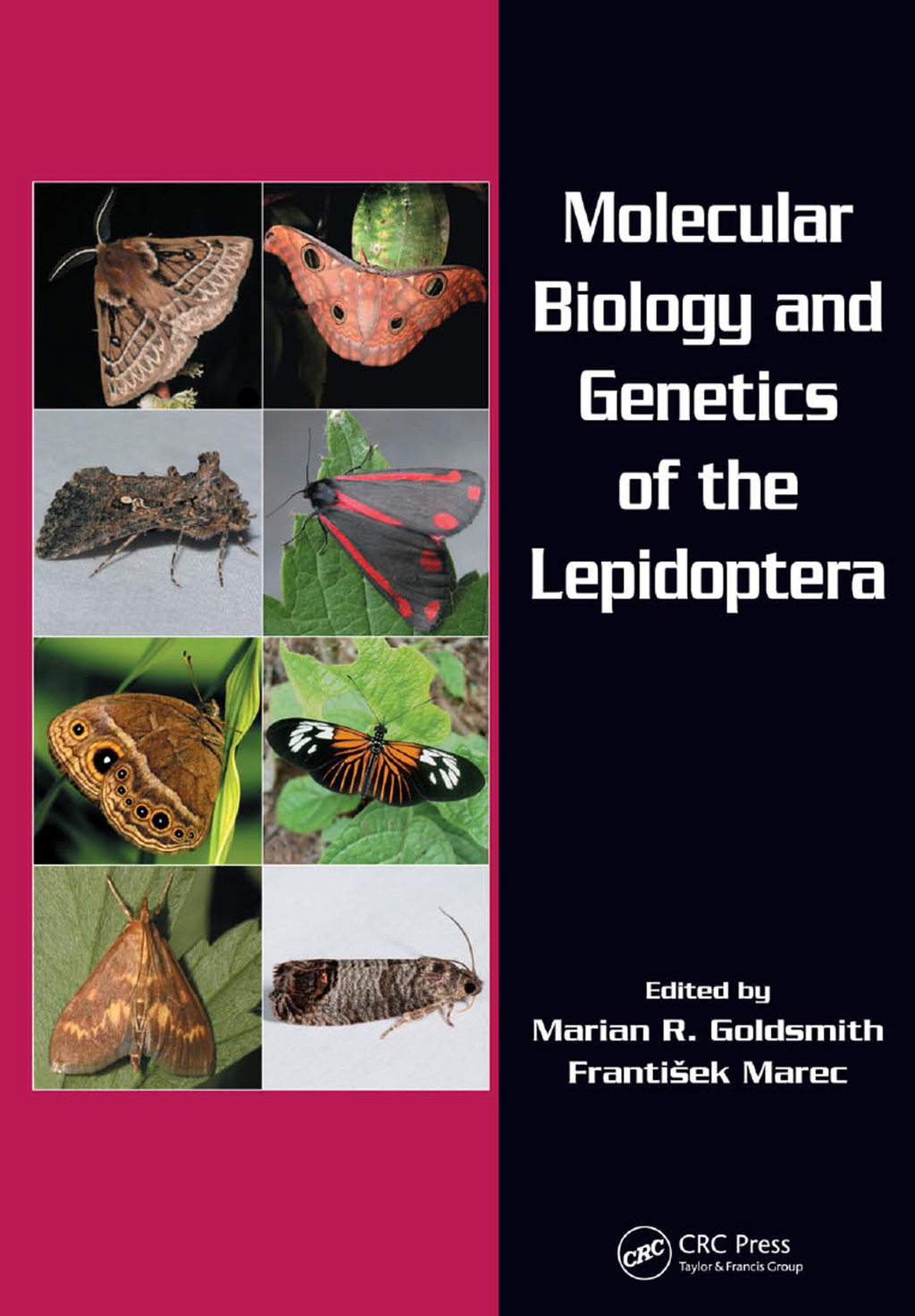 Molecular Biology and Genetics of the Lepidoptera 1st Edition