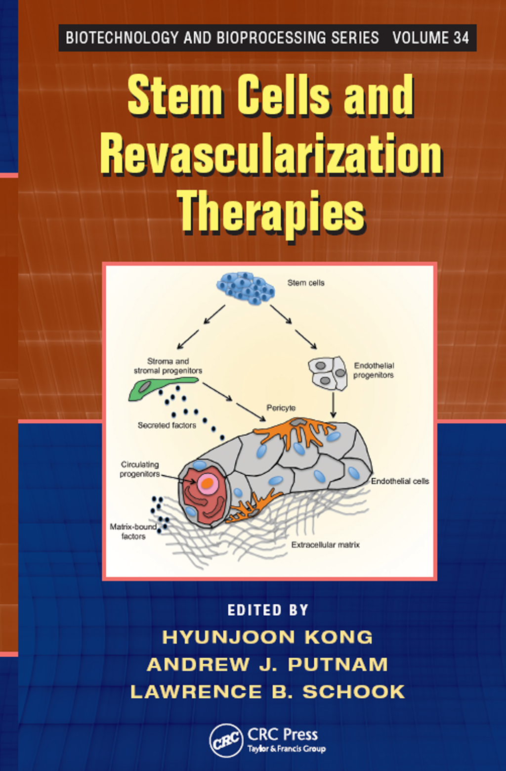 Stem Cells and Revascularization Therapies 1st Edition
