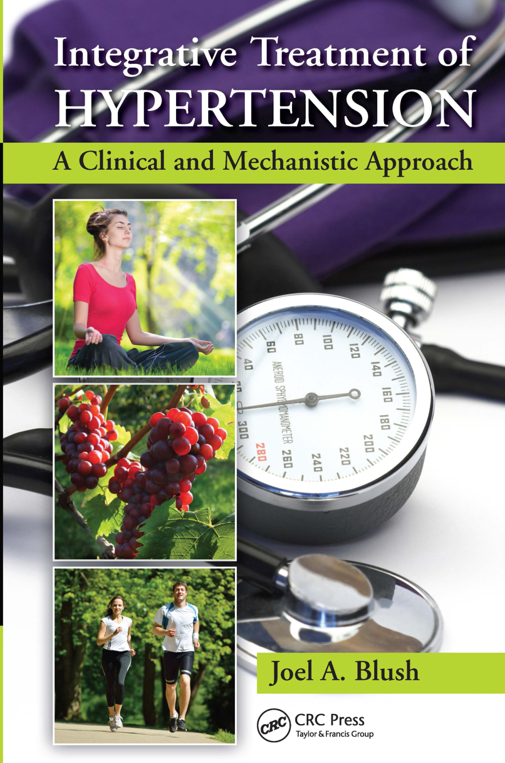 Integrative Treatment of Hypertension A Clinical and Mechanistic Approach 1st Edition