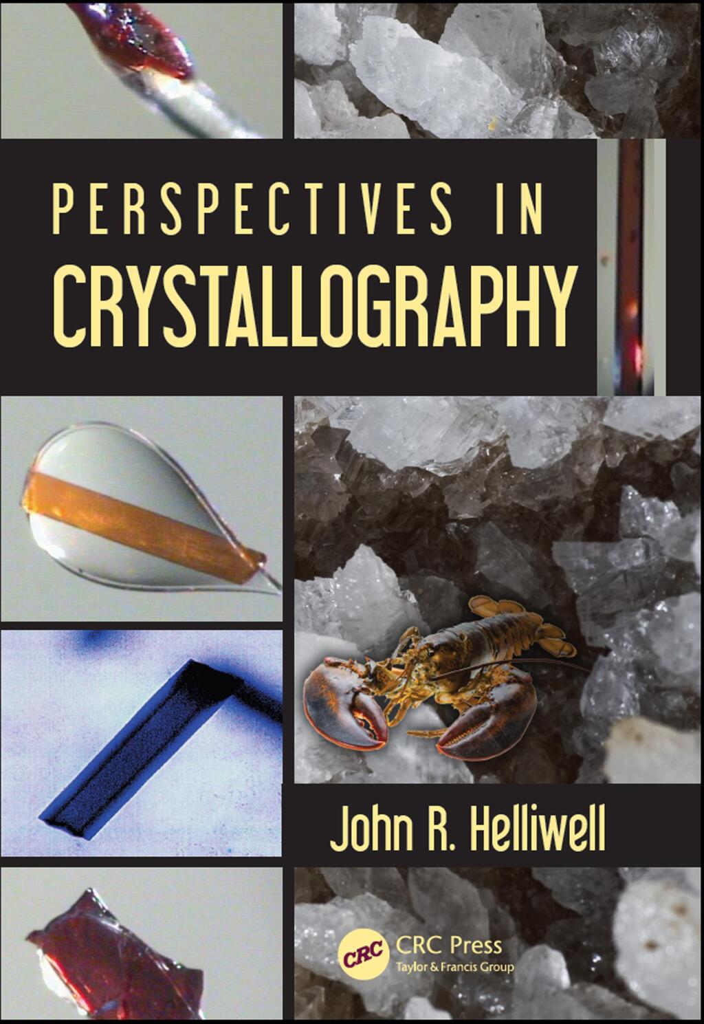 Perspectives in Crystallography 1st Edition