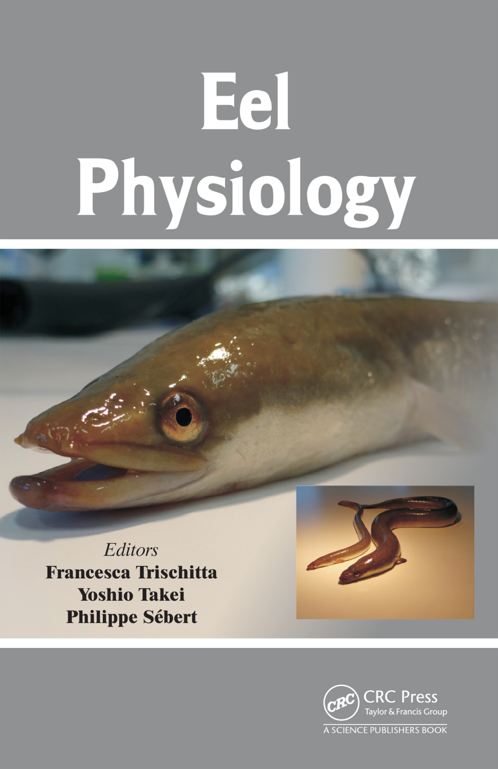 Eel Physiology 1st Edition