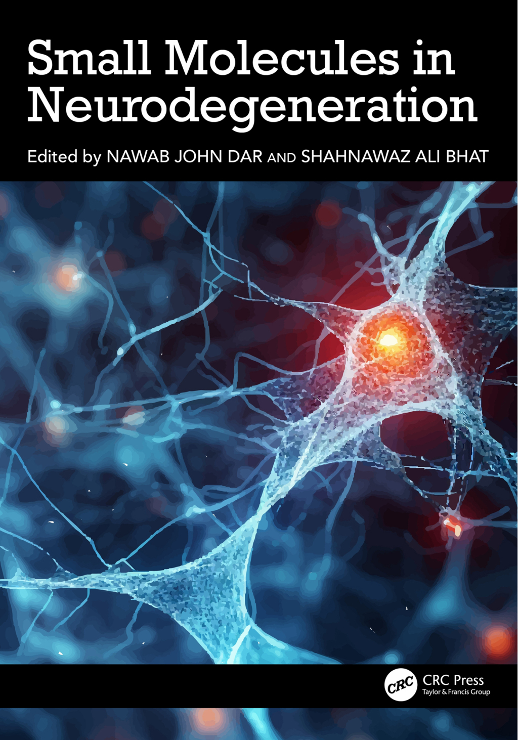 Small Molecules in Neurodegeneration 1st Edition