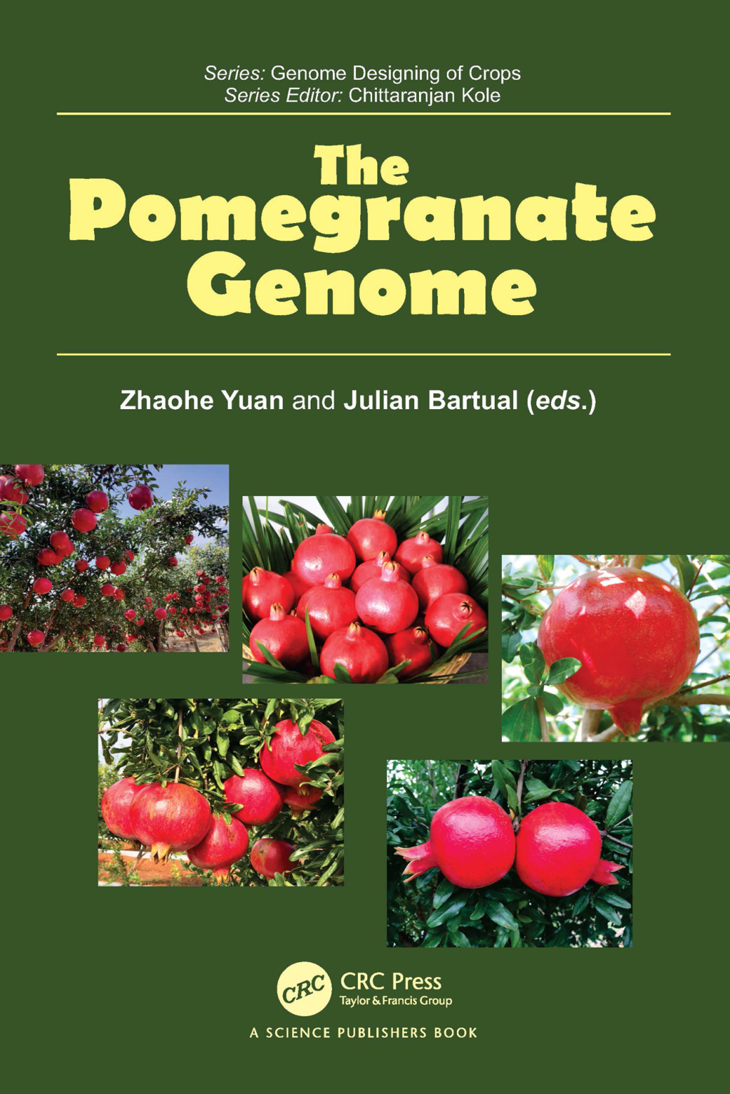 The Pomegranate Genome 1st Edition