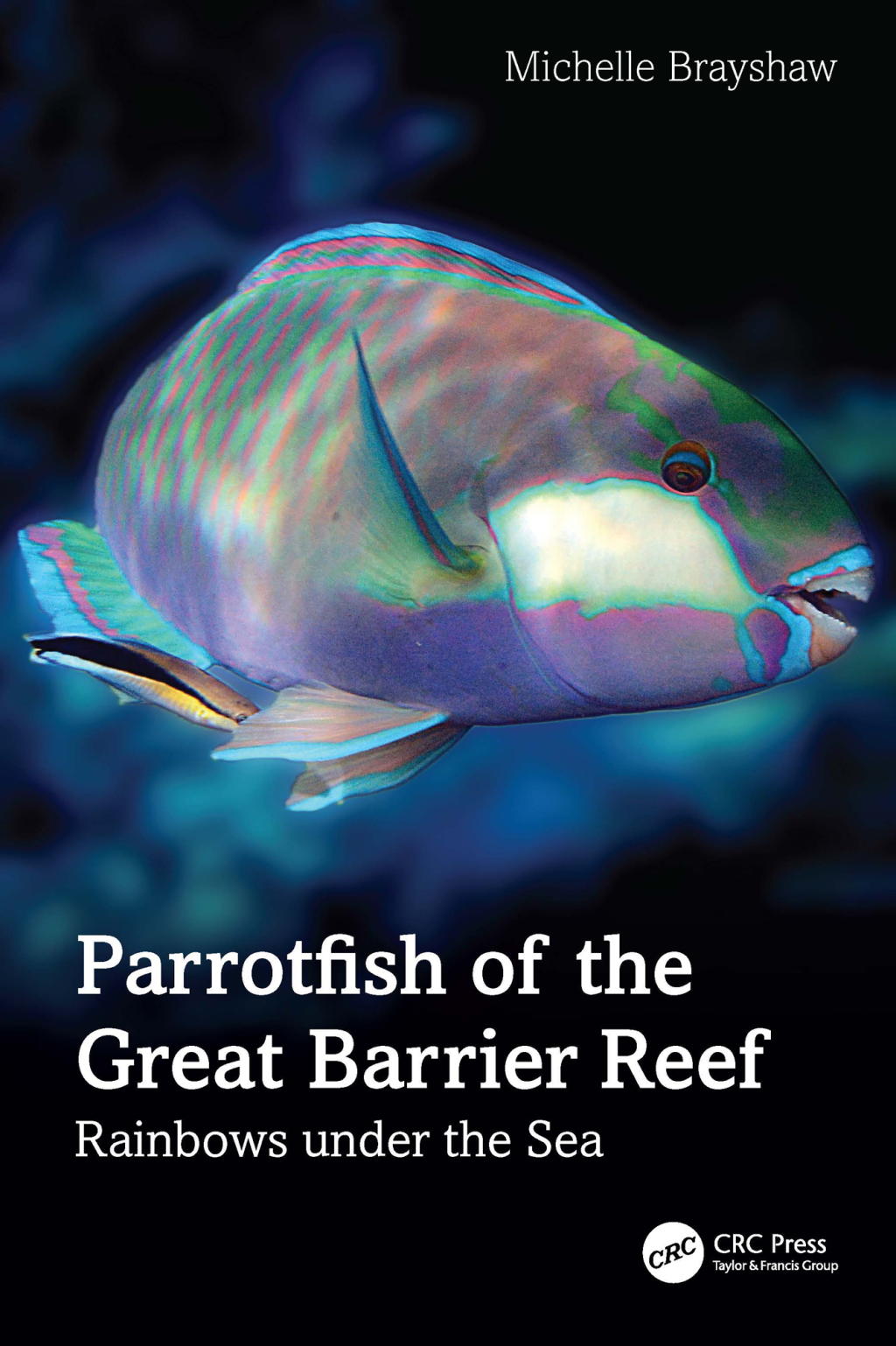 Parrotfish of the Great Barrier Reef Rainbows under the Sea 1st Edition