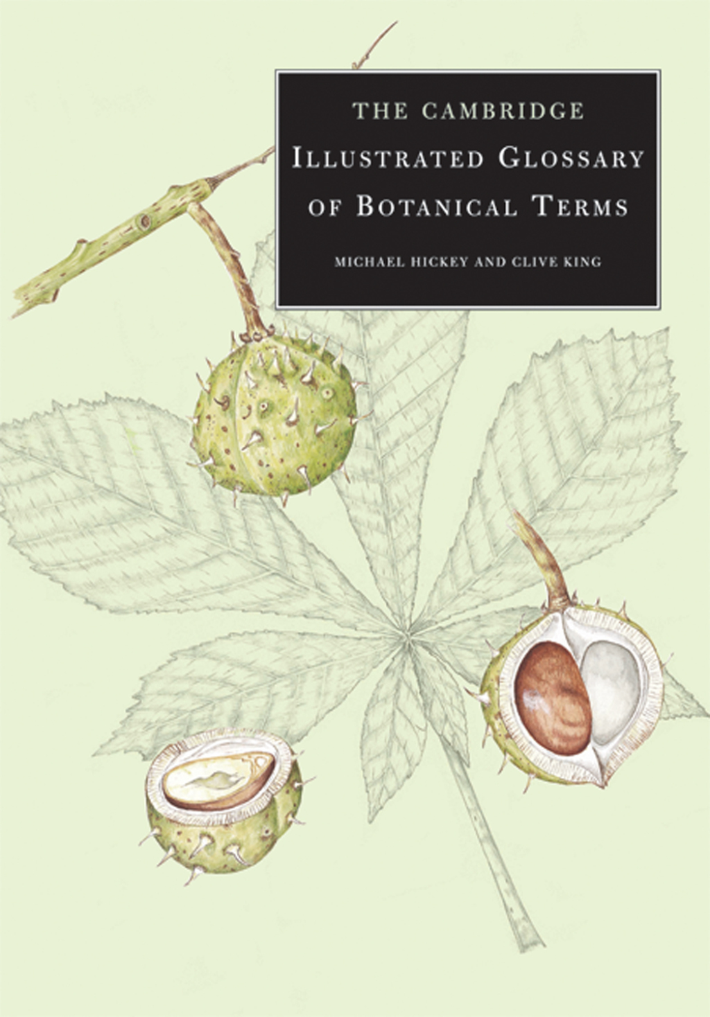 The Cambridge Illustrated Glossary of Botanical Terms 1st Edition