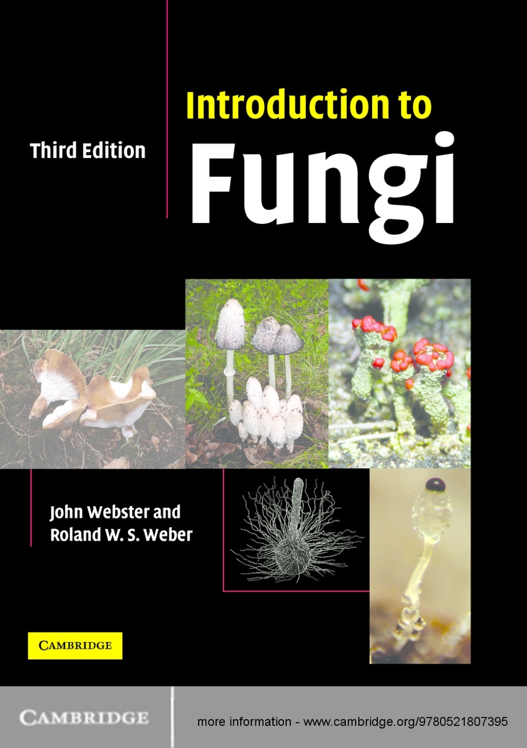 Introduction to Fungi 3rd Edition