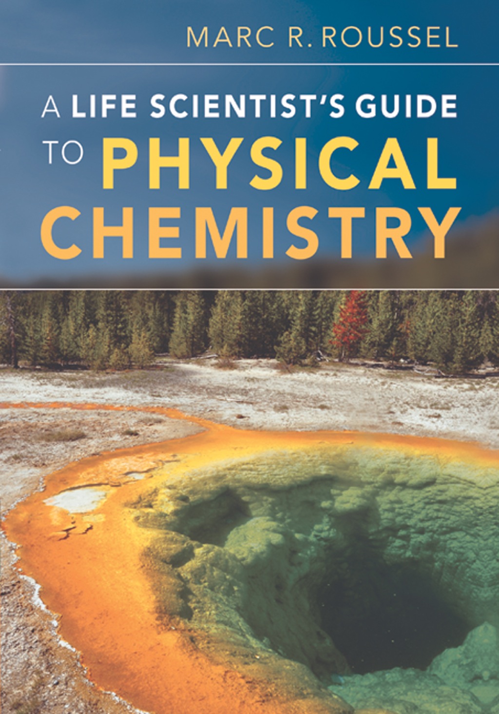 A Life Scientist's Guide to Physical Chemistry 1st Edition