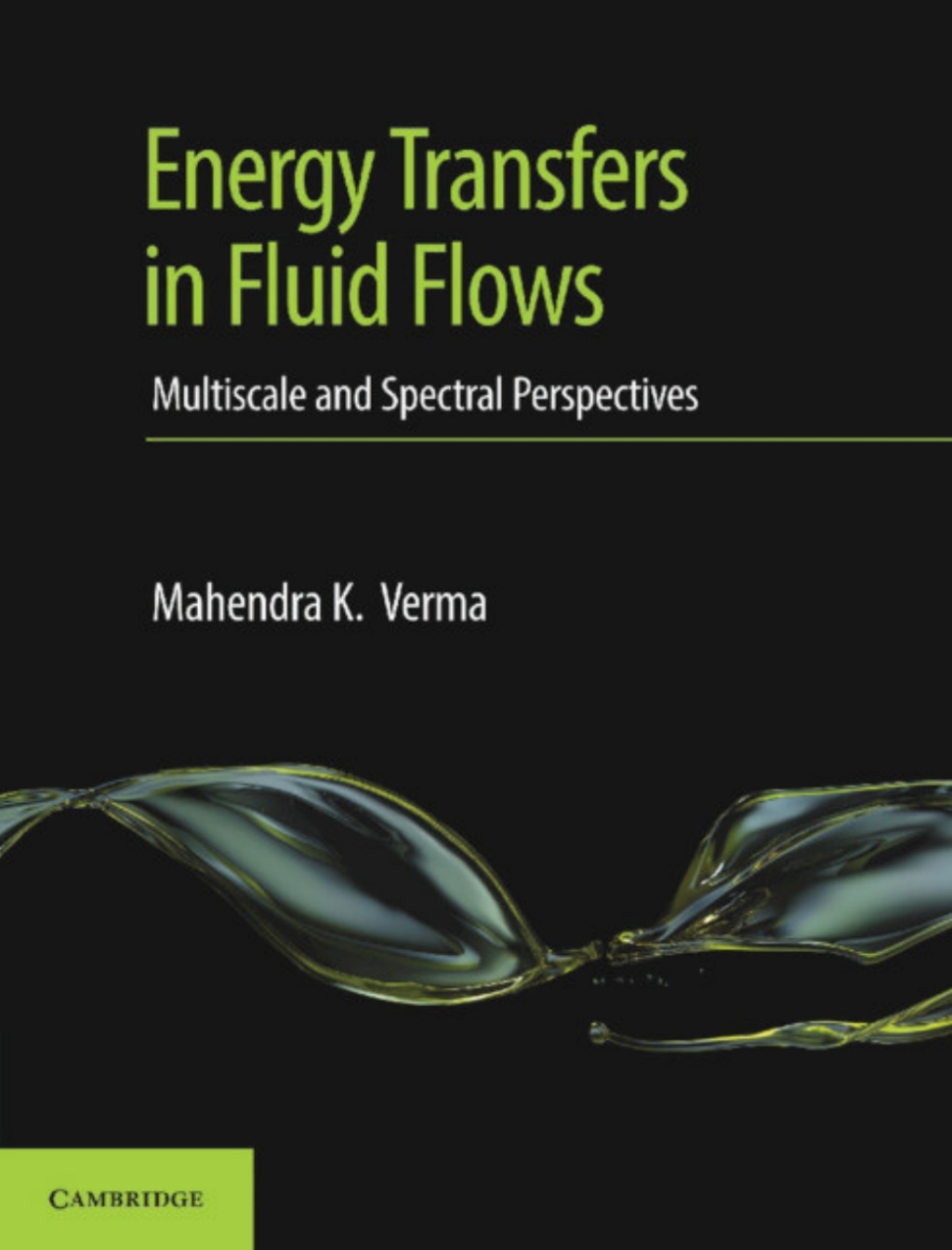 Energy Transfers in Fluid Flows Multiscale and Spectral Perspectives 