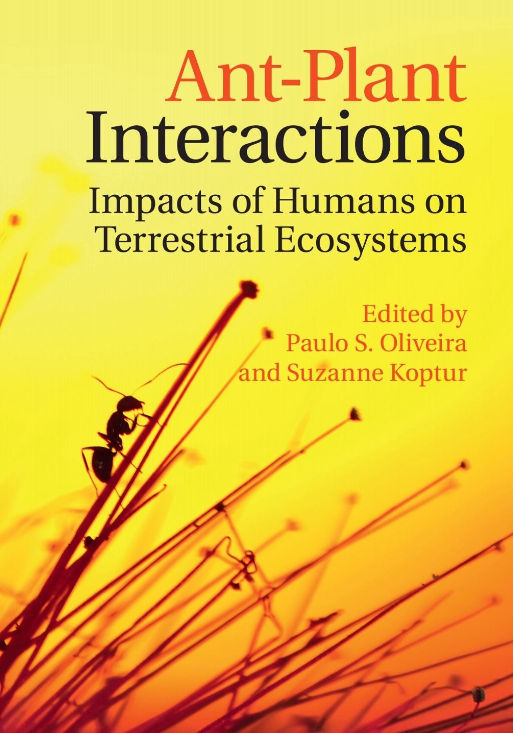 Ant-Plant Interactions Impacts of Humans on Terrestrial Ecosystems 