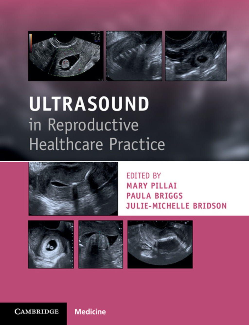 Ultrasound in Reproductive Healthcare Practice 