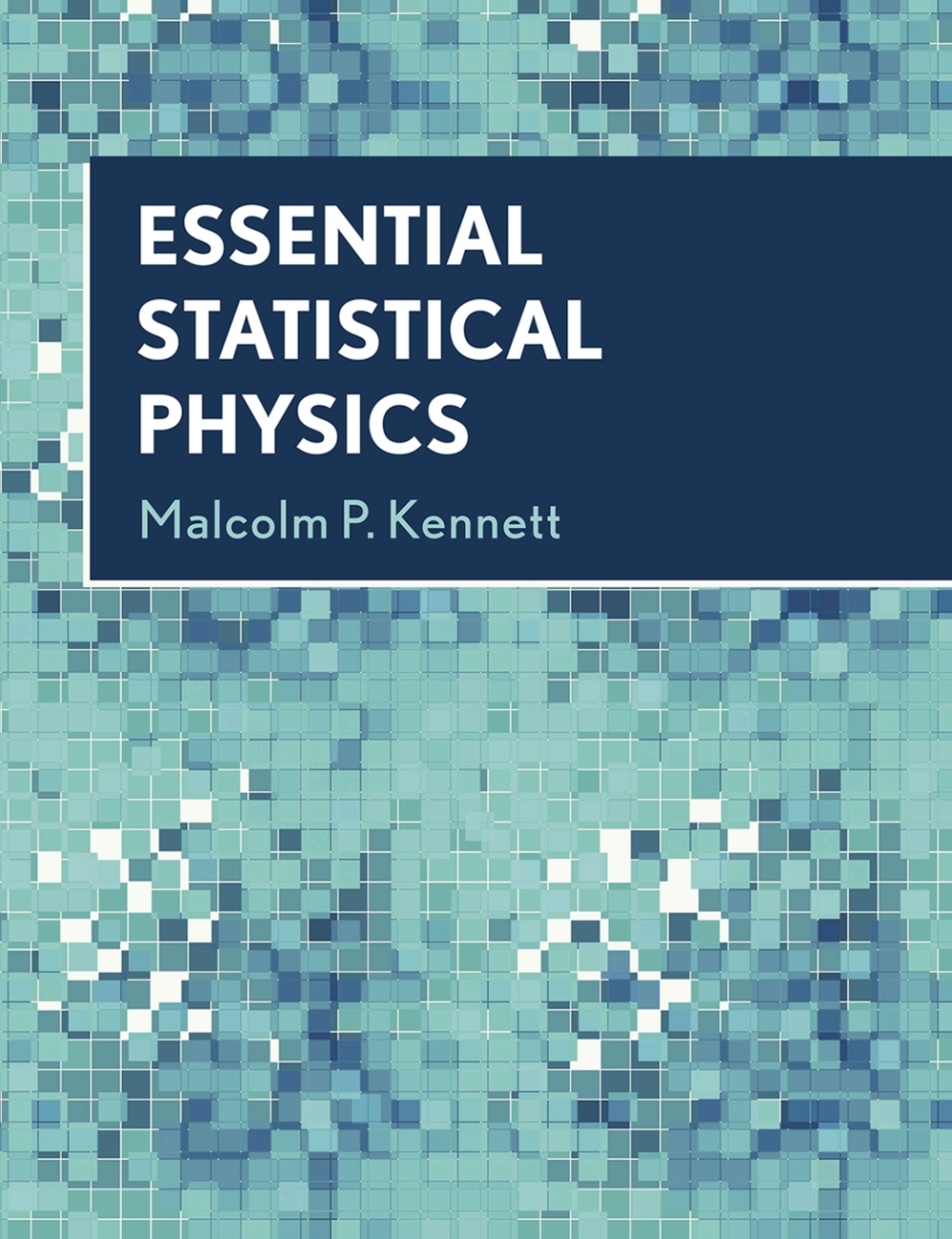 Essential Statistical Physics 