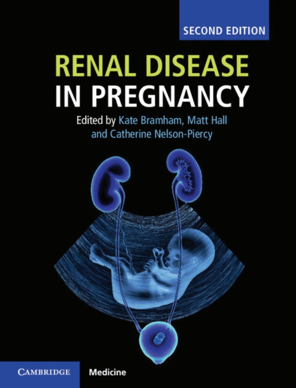 Renal Disease in Pregnancy 2nd Edition