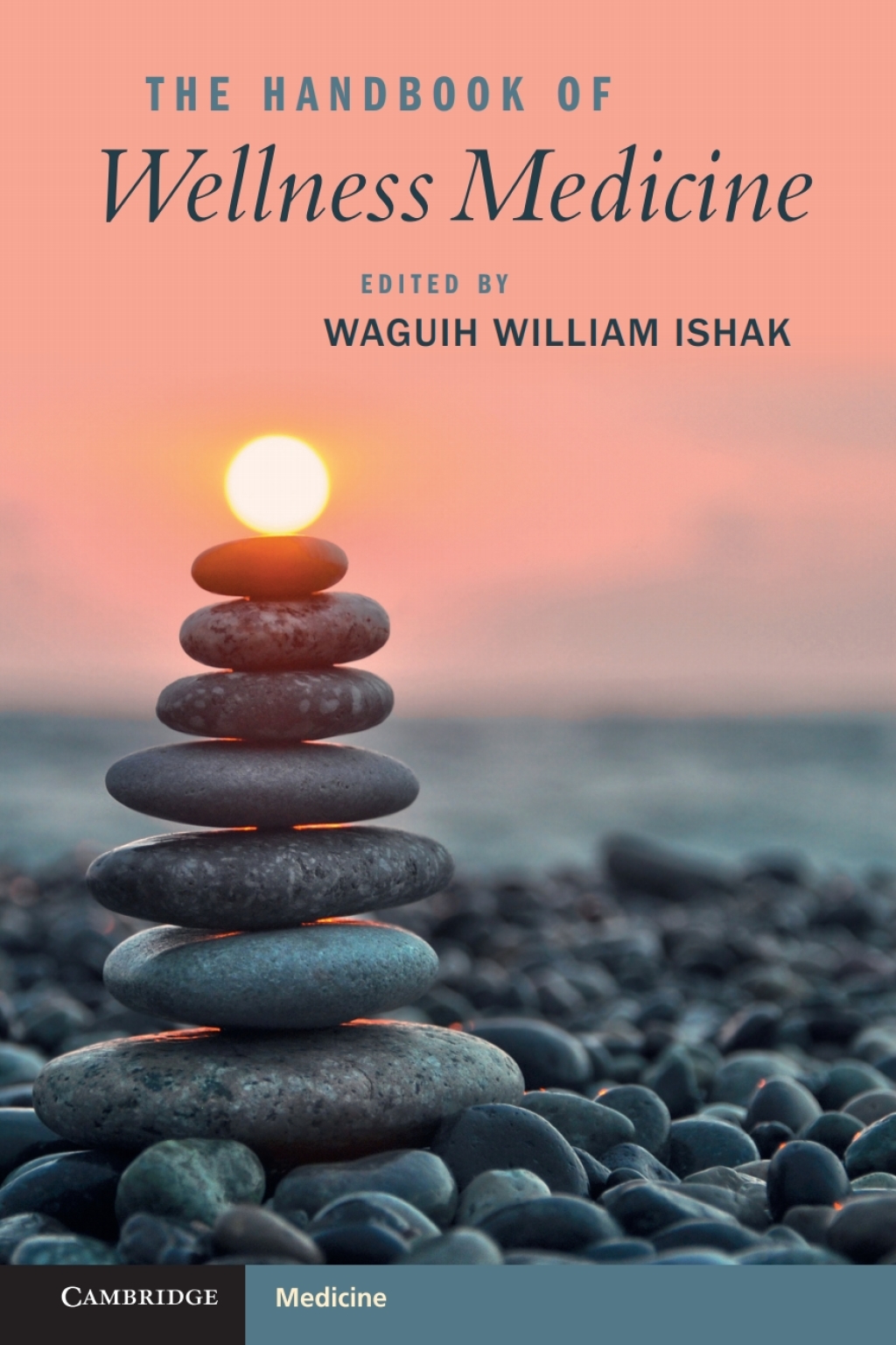 The Handbook of Wellness Medicine 1st Edition